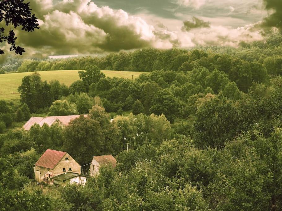The Old Barn - Caloroczny, Butikowy Dom W Malowniczej Wsi, Rezerwacja Minimum 3 Noce Apartment *
