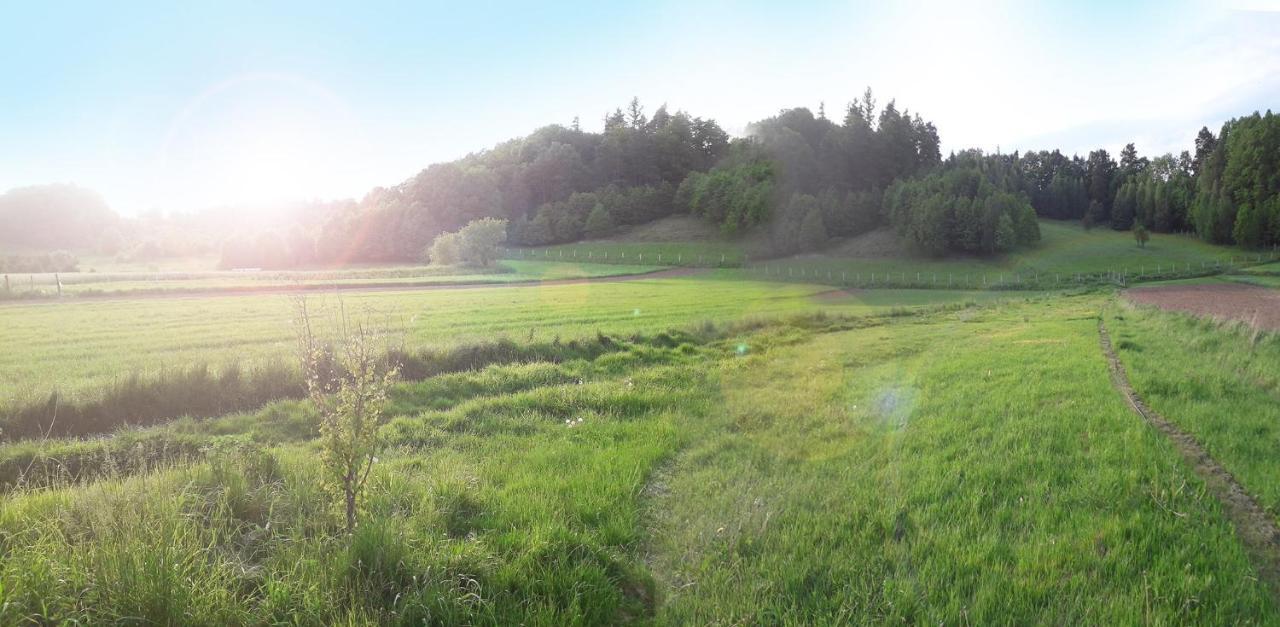 The Old Barn - Caloroczny, Butikowy Dom W Malowniczej Wsi, Rezerwacja Minimum 3 Noce *